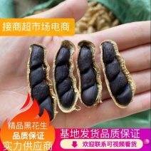 云南带壳黑花生机器挑选饱满度百分之九十以上长期供应
