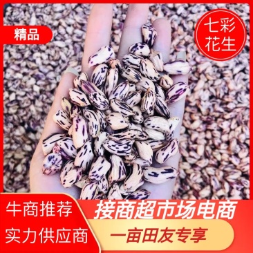 云南七彩黑皮花生七彩花生米黑皮花生米长期供应
