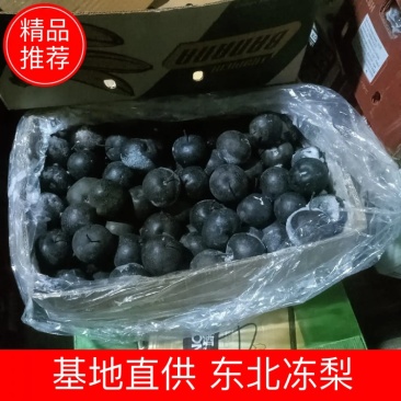 东北大冻梨2两4起-3两3