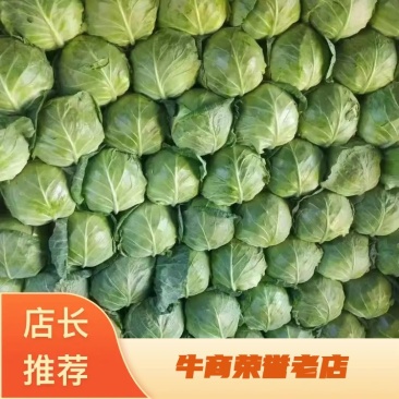 甘蓝，菜宣，颜色绿，个头大小均匀，有需要的可以联系我。