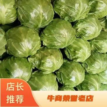 甘蓝，颜色绿，菜宣，个头大小均匀，有需要的可以联系我。