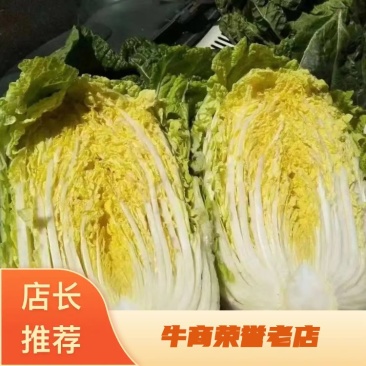 黄心大白菜，心黄，量大，单颗重4单6斤，有需要的可以联系
