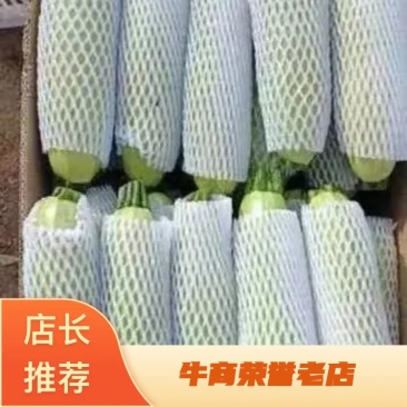 西葫芦，量大，亮条，个头大小均匀，有需要的可以联系我。