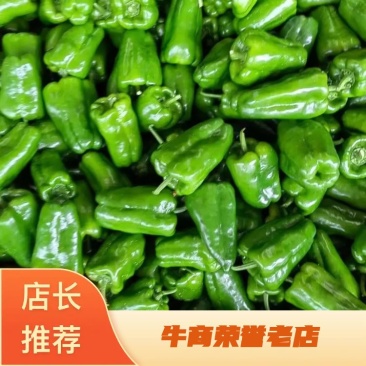 太空椒，量大，个头大，有亮度，有需要的可以联系我。