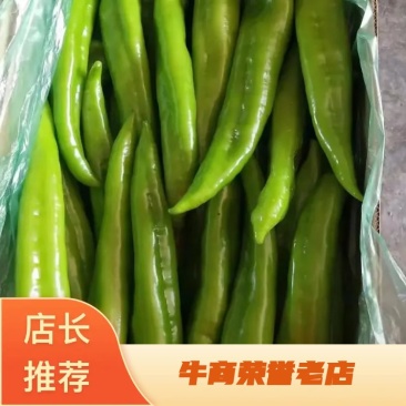 尖椒，量大，有亮度，条直，有需要的可以联系我