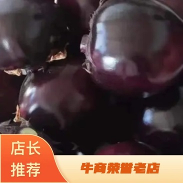 圆茄，量大，有亮度，个头大小均匀，有需要的可以联系我