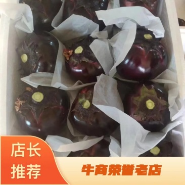 圆茄，量大，有亮度，个头大小均匀，有需要的可以联系我