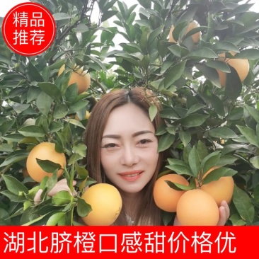 推荐纽荷尔，长虹，普脐大量上市，诚信经营，视频看货