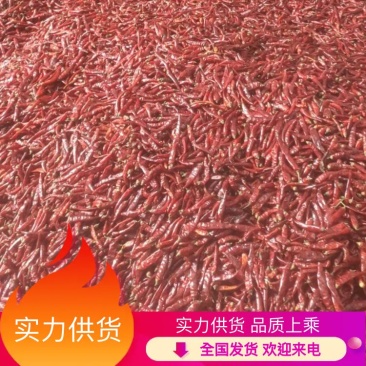 （热卖中）石柱红艳椒干辣椒货源充足，全国发货，品质上乘