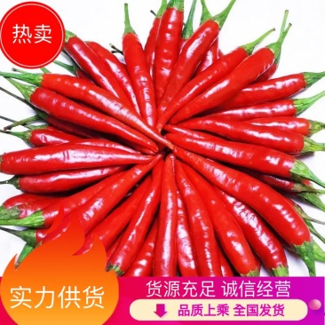 【实力供货】土家朝天椒艳椒，鲜辣椒货源充足，同城快速发货