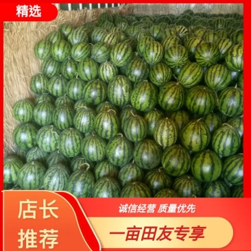 AAo山东精品西瓜一手货源大量批发，转超市，电商5到8斤