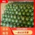 AAo山东精品西瓜一手货源大量批发，转超市，电商5到8斤