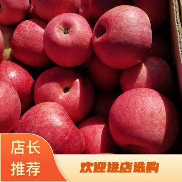 下架大量供应辽宁沙地寒富士苹果欢迎来电咨询质量保证