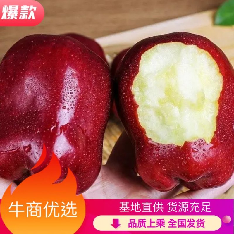 (热销）花牛苹果产区直供货源充足量大从优视频看货全国发货
