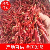 优质特辣印度椒s17，全国发货，支持代发，欢迎联系合作。
