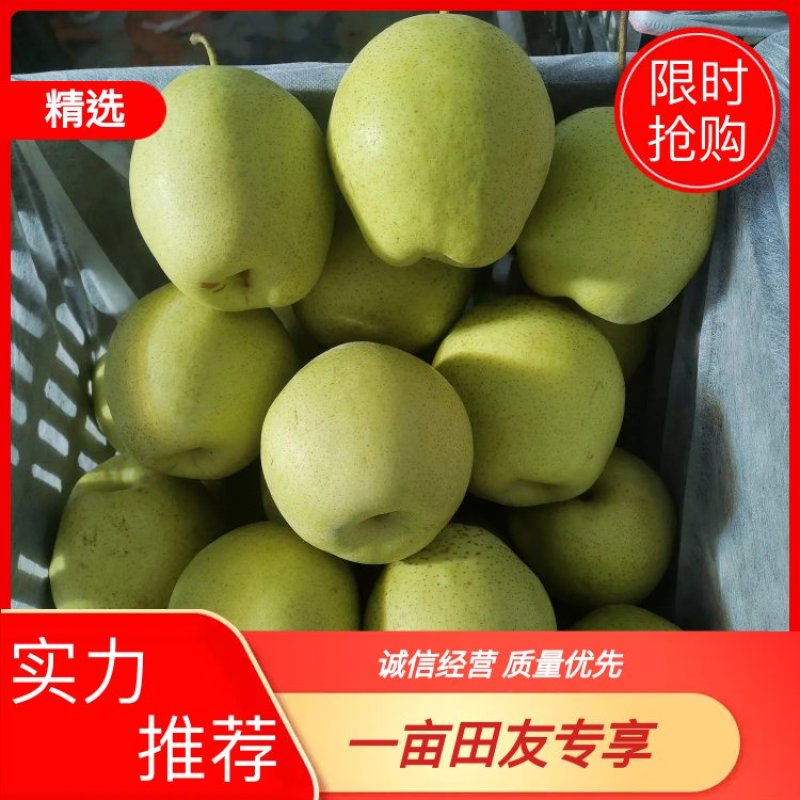 【实力】雪花梨产地直供，型号齐全！保质保量！出口内销均可