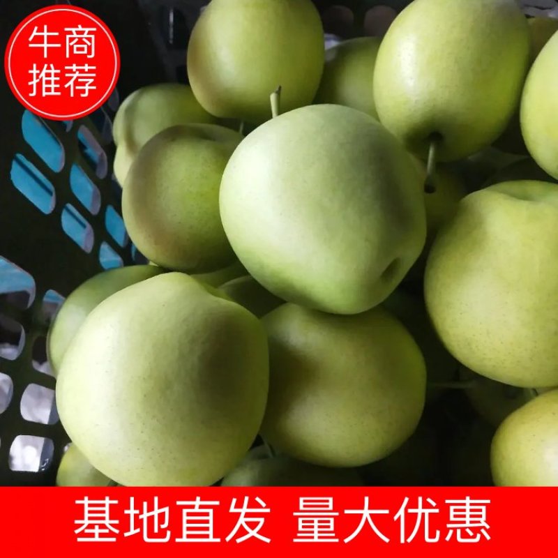 热卖青皮皇冠梨好货️专业代办，出口️内销️均可联系
