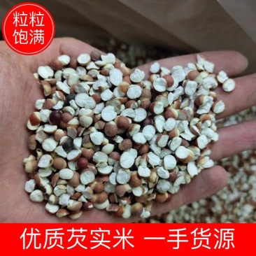 【热卖】芡实米肇庆芡实米新货粒粒饱满50斤起批不包邮