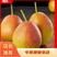 【全国代发】河北石家庄精品红香酥梨大量现货口感脆甜