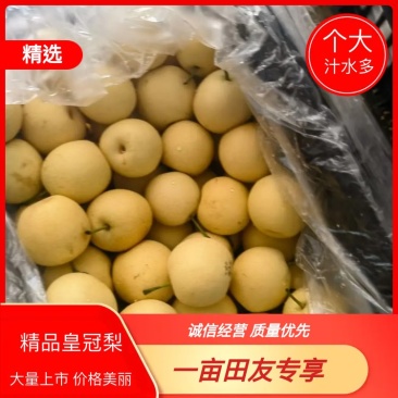 【精品】皇冠梨，三四量左右的电商平台货，社区团购货