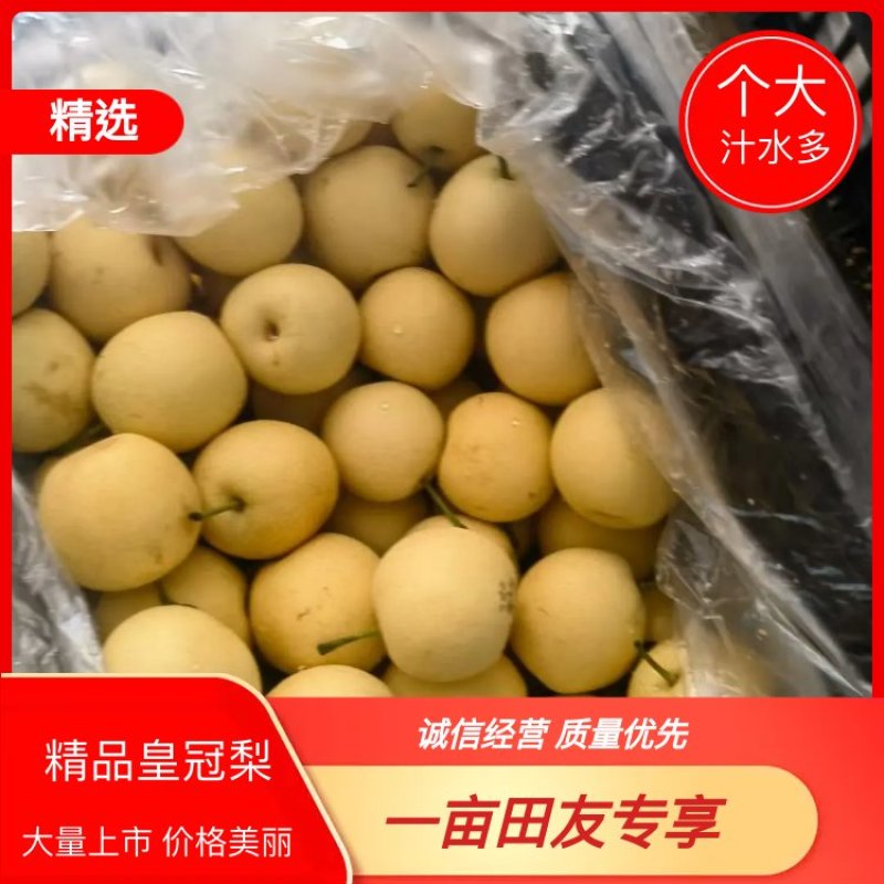 【精品】皇冠梨，三四量左右的电商平台货，社区团购货