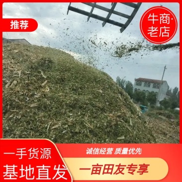 玉米桔杆黄储，黄储青储大量有货，欢迎各位老板采购