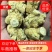 【精品】西洋参花旗参洋参人参产地直发规格齐全