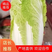 【推荐】娃娃菜，酒泉，大量上市，价格低，质量高欢迎合作