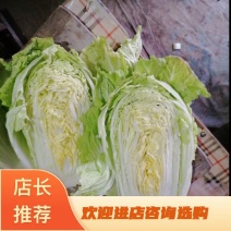 大白菜黄心大白菜品质好价格低量大从优货源充足