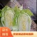 大白菜黄心大白菜品质好价格低量大从优货源充足