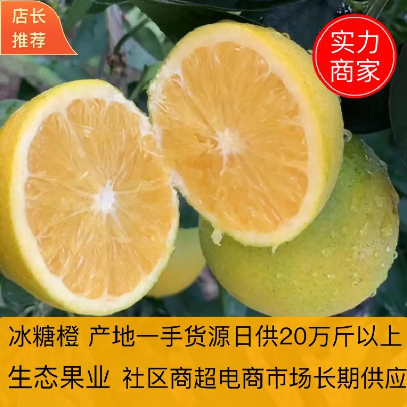 【代发全国】湖南麻阳冰糖橙新鲜采摘规格齐全可供电商