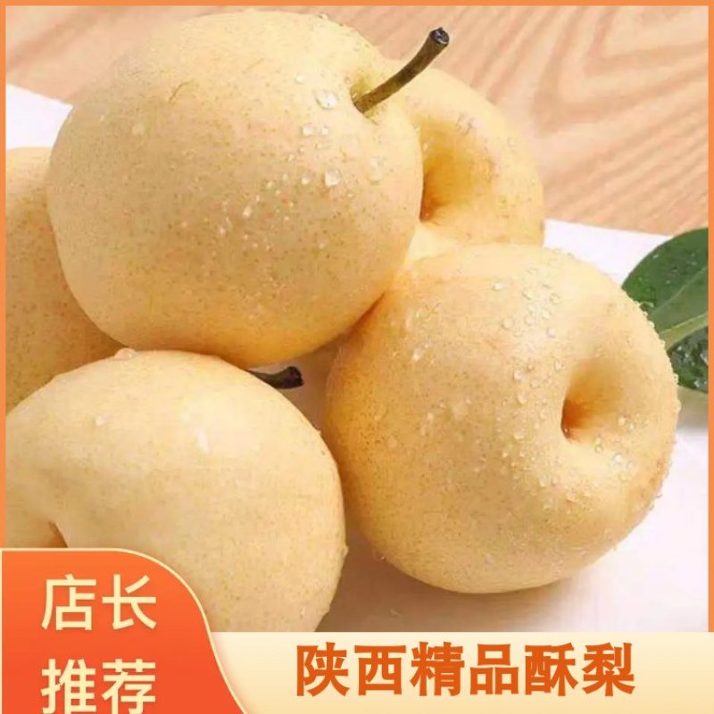 咸阳酥梨乾县泔河酥梨皮薄渣细甜度高核小产值直发