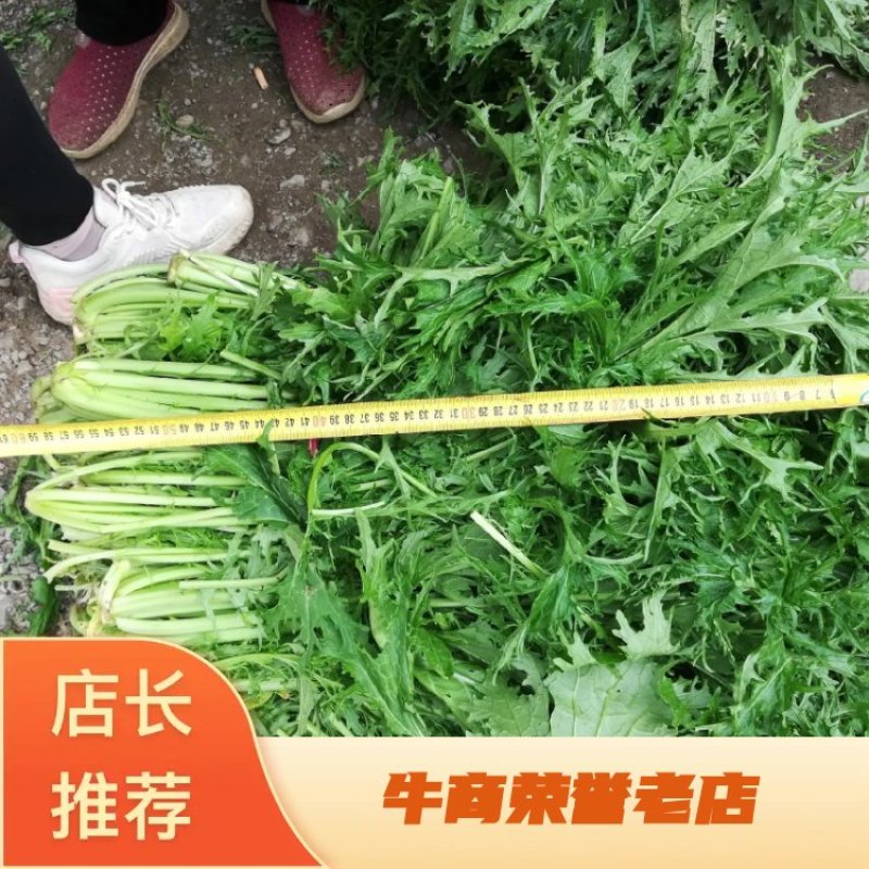 湖北省钟祥市雪里红/地头发货/工厂货/市场货/电商货。