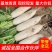 【精品推荐】湖北板叶萝卜大量上市肉致密品质好外形优超市档口