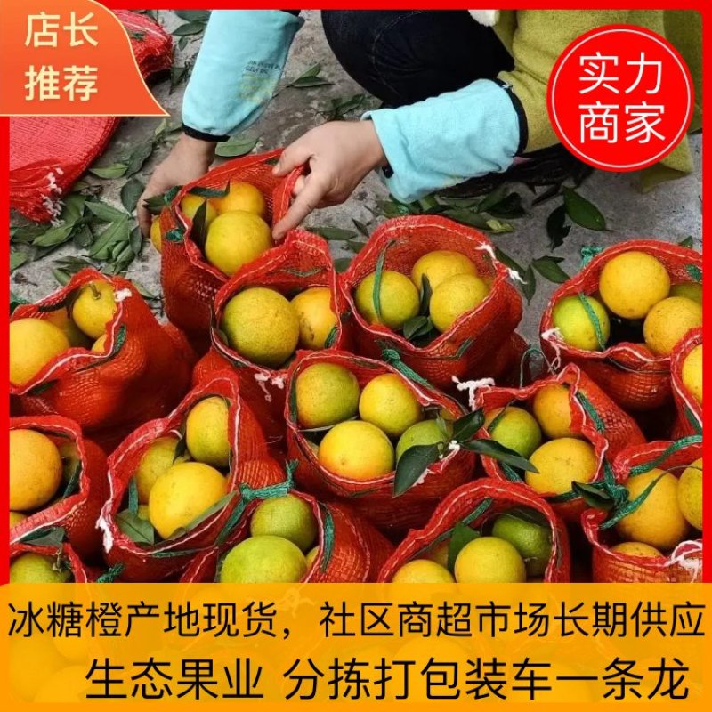 【代发全国】湖南麻阳冰糖橙新鲜采摘规格齐全可供电商