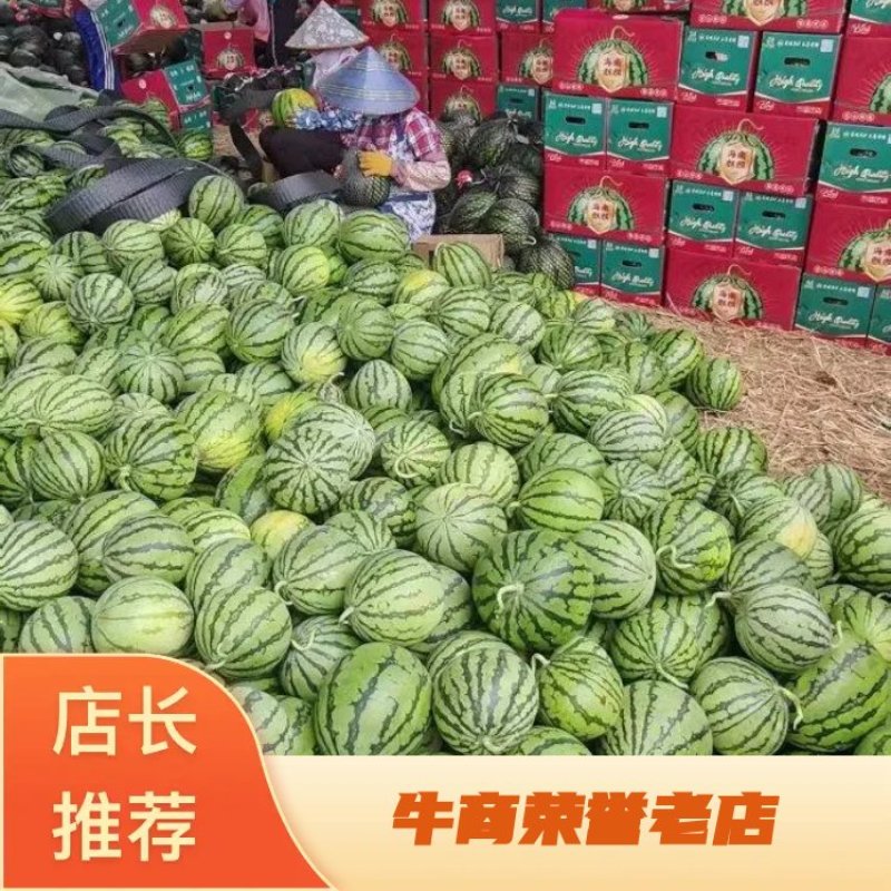 【牛商优选】优质麒麟西瓜大量供应甜度高水分足