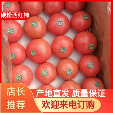 山东硬粉西红柿粉柿子专业对接商超精选产品量大从优