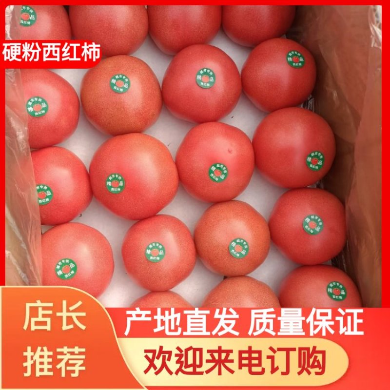 山东硬粉西红柿粉柿子专业对接商超精选产品量大从优