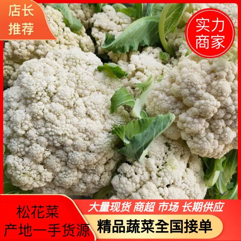 山东白面青梗松花菜，大量上市出货货源充足品质保证