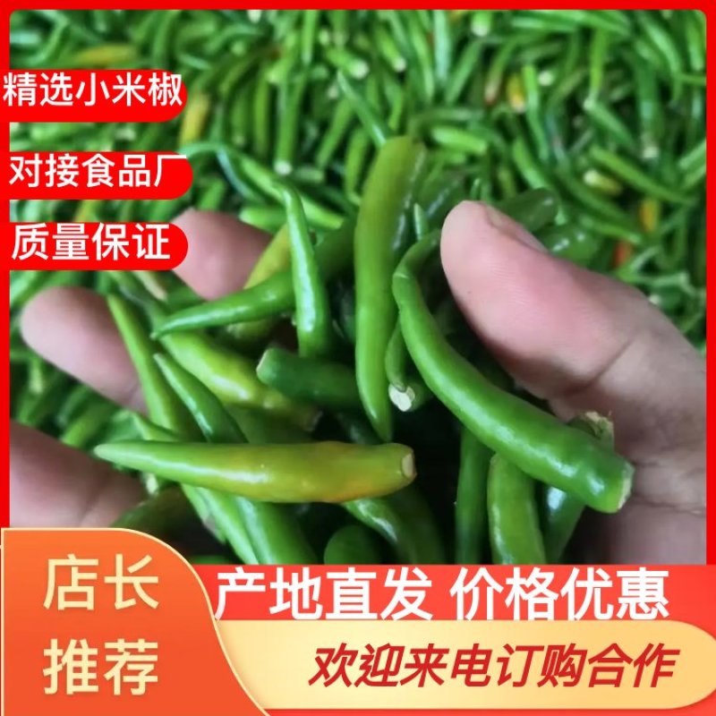 无把带把青米椒腌制青米椒腌制艳红小米椒无把青红米椒