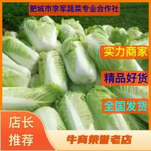肥城市李军蔬菜专业合作社大量购销北京新三号大白菜量大从优