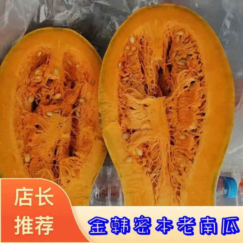 金韩蜜本老南瓜，产地货源，供应加工厂，市场！10吨起售，