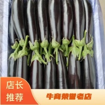 原产地绿把长茄大龙长茄，平台电商超市，多多买菜美团优直供