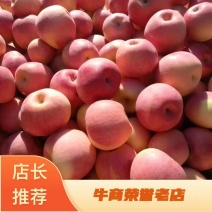 辽宁北镇优质苹果寒富苹果，一手货源，现摘现卖，代发全国