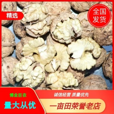2025年云南薄皮麻子核桃天然晒果顺色果大果原产基地直发