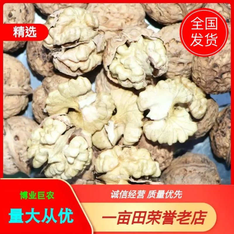 2025年云南薄皮麻子核桃天然晒果顺色果大果原产基地直发