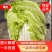 【推荐】精品黄心菜大量上市中质量好价格低商超品质