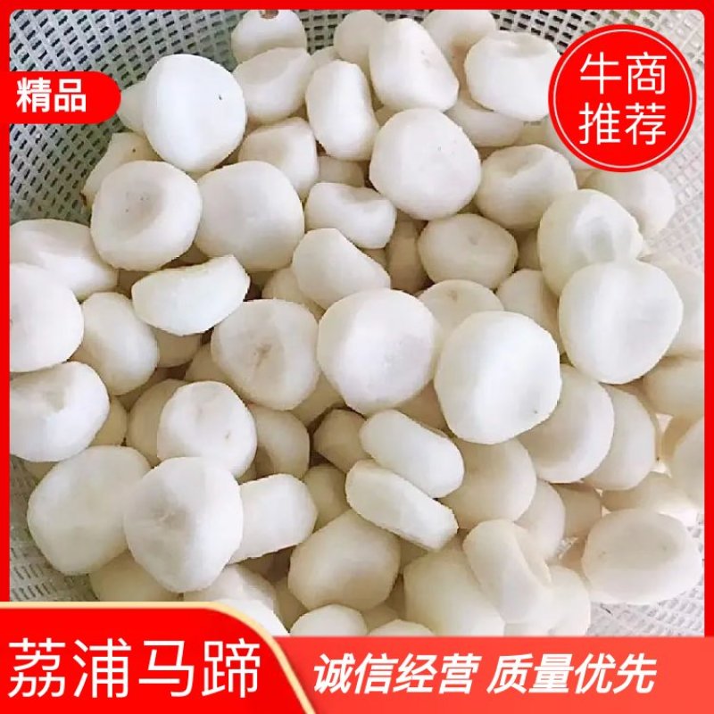 活动来了马蹄现修现包装发货保证质量新鲜农家蔬菜水果
