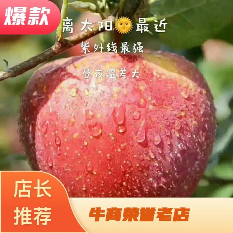 【精品】云南昭通苹果，产地批发，一手货源，大量上市