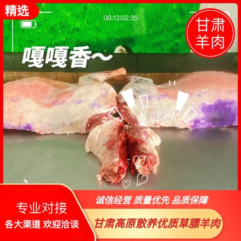 【高原特级草膘羊】鲜羊肉；甘肃跑山羊新鲜现发